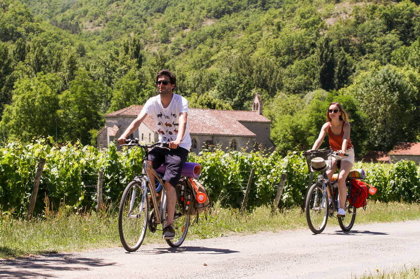 A vélo dans les vignes - Véloroute Vallée du Lot © Lot Tourisme - P. Foresti